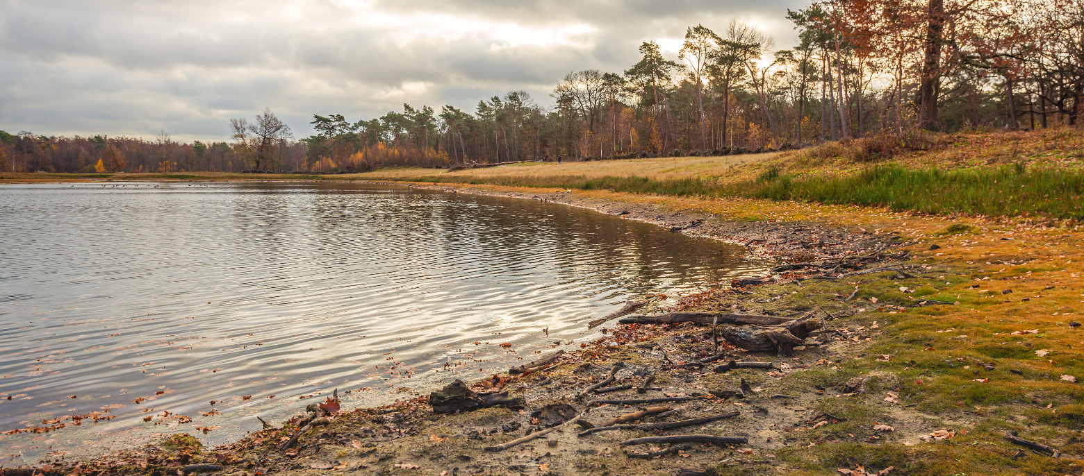 What Changing Lake Levels Mean for My Dock