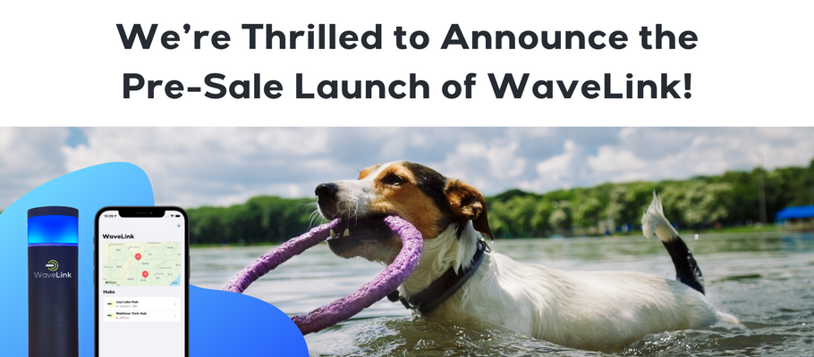 We’re Thrilled to Announce the Pre-Sale Launch of WaveLink!