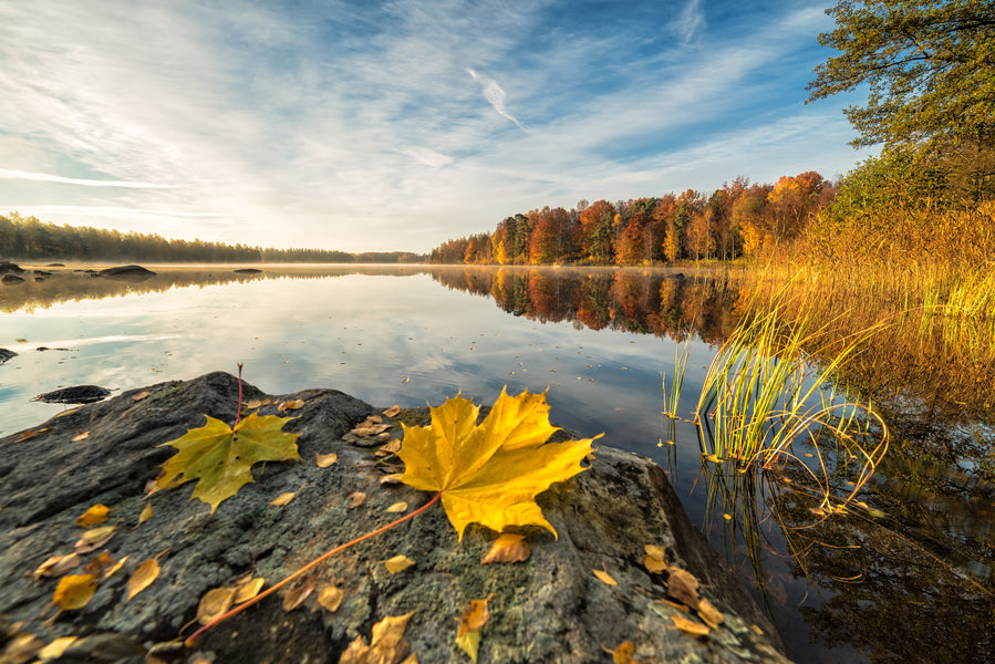 Embracing the Tranquility: Fall Activities by the Lake
